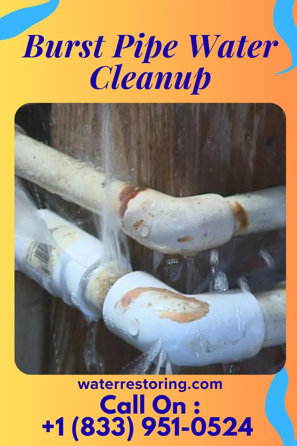 Burst Pipe Water Cleanup in Pasco, WA