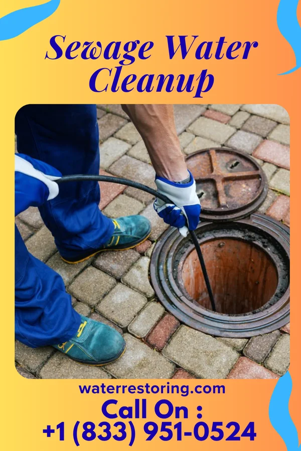Sewage Water Cleanup in Pasco, WA