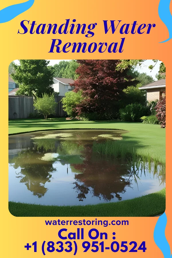 Standing Water Removal in Pasco, WA